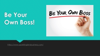 Be Your Own Boss!