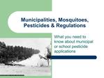 Municipalities, Mosquitoes, Pesticides Regulations