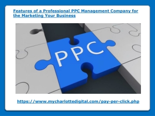 Features of a Professional PPC Management Company