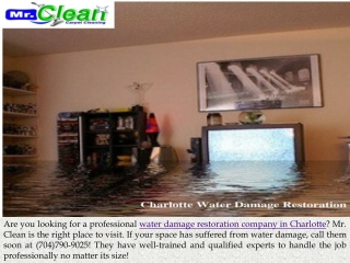 Water Damage Restoration Company