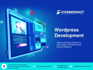 Custom WordPress Design & Development Services in India