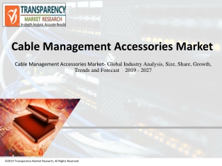 Cable Management Accessories Market: Market Development, Overview and Forecast upto 2019 - 2027