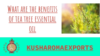 What are the health benefits of tea tree essential oil