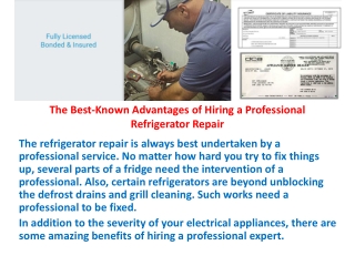 The Best-Known Advantages of Hiring a Professional Refrigerator Repair