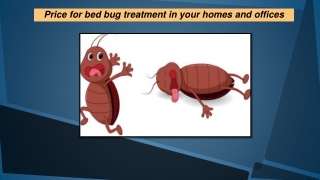 Price for bed bug treatment in your homes and offices