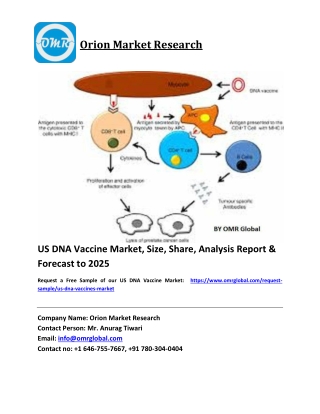 US DNA Vaccine Market Size, Share and Forecast 2019-2025