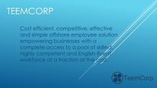 Teemcorp Offshore Staffing Services Philippines & BOH Staffing Agency