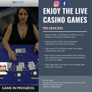 Per Head BSS: Enjoy The Live Casino Games