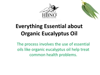 Eucalyptus Essential Oil, ORGANIC Wholesale from Essential Natural Oils