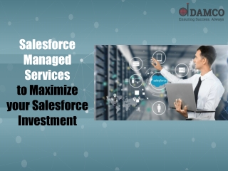 Salesforce Managed Services to maximize your Salesforce investment