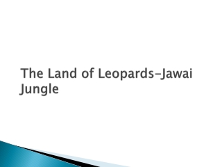 The Land of Leopards-Jawai Jungle