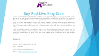 Buy Red Live King Crab