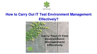 How to Carry Out IT Test Environment Management Effectively?