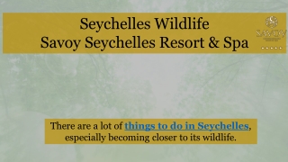 Seychelles Wildlife by Savoy Seychelles Resort & Spa