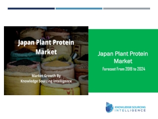 Market Growth of Japan Plant Protein Market by Knowledge Sourcing