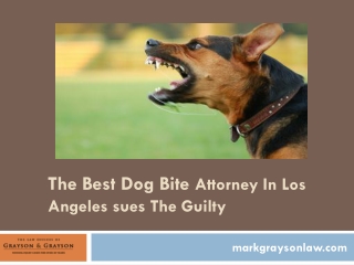 The best dog bite attorney in Los Angeles sues the guilty