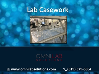 Manufacture and Supplier of Lab Casework and Cabinet : OMNI Lab Solutions