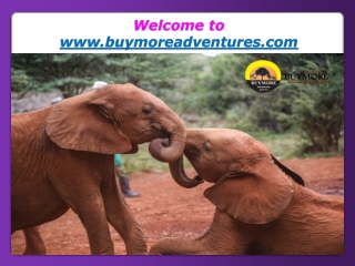 Kenya Camping Tours – The Ultimate Kenyan Experience