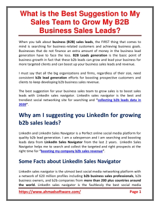 What is the best suggestion to my sales team to grow my B2B business leads