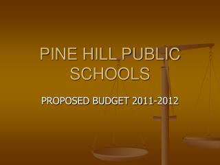 PINE HILL PUBLIC SCHOOLS