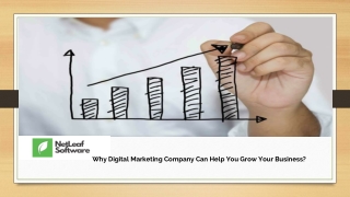 Why Digital Marketing Company Can Help You Grow Your Business?