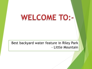Best backyard water feature in Riley Park - Little Mountain