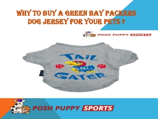 Why To Buy a Green Bay Packers Dog Jersey For Your pets