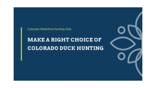 Make a Right Choice of Colorado Duck Hunting