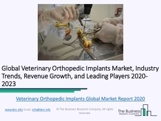 Global Veterinary Orthopedic Implants Market Characteristics, Forecast Size, Trends Till 2023