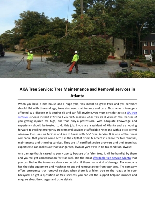AKA Tree Service: Tree Maintenance and Removal services in Atlanta