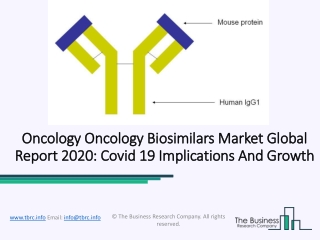 Oncology Biosimilars Market Segmentation, Competitors Future Insights 2020