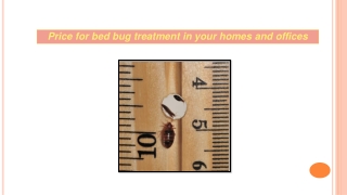 Bed bug heat treatment for your relief