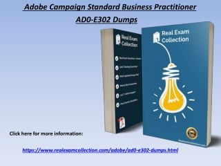 Real Adobe AD0-E302 Exam Dumps