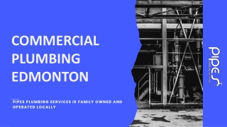 Commercial Plumbing Edmonton at Affordable Price