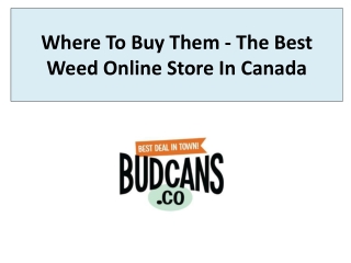 The Best Weed Online Store In Canada
