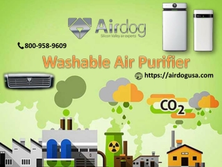 Buy Washable Air Purifier online at best price in USA | Airdog USA