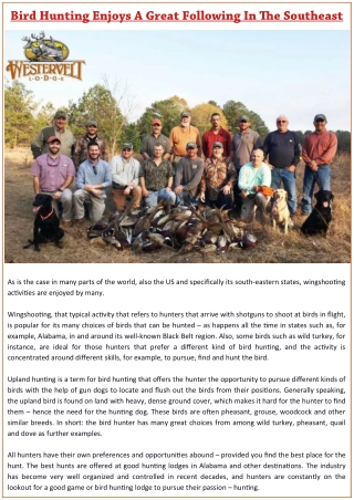Bird Hunting Enjoys A Great Following In The Southeast