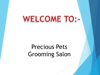 Best DOG GROOMER in North Shore