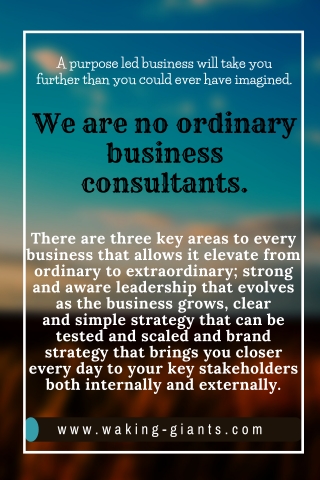 Business Consultants Focused on Leadership, Strategy & Brand