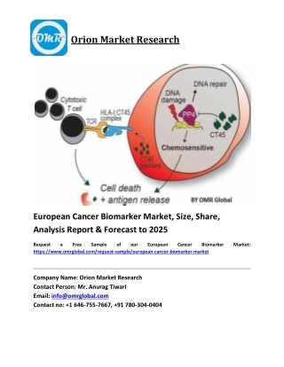 European Cancer Biomarker Market Size, Share and Forecast 2019-2025