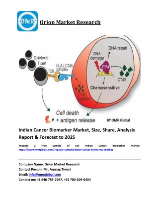 Indian Cancer Biomarker Market Size, Share and Forecast 2019-2025