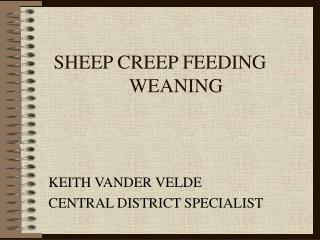 SHEEP CREEP FEEDING 	WEANING