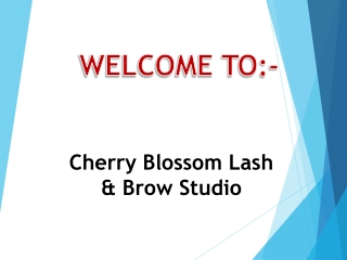 Best Eye Lash Extensions in North York
