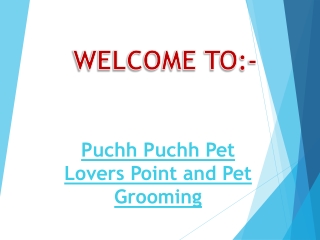 Best PET STORE in Birch Cove
