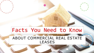 Facts You Must Know About Commercial Real Estate Leases