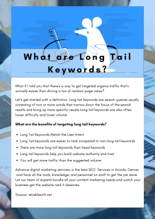 What are Long Tail Keywords?