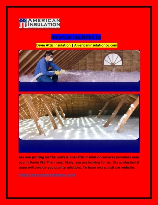 Davie Florida Attic Insulation | Americaninsulationco.com