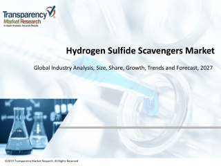 Hydrogen Sulfide Scavengers Market Estimated to Expand at a Robust CAGR by 2027