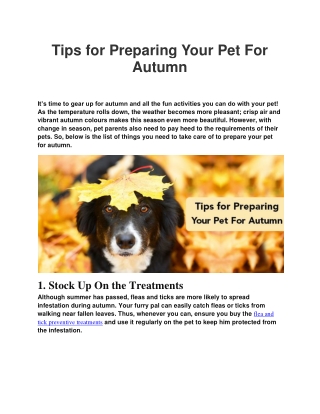 Tips for Preparing Your Pet For Autumn