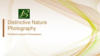 Distinctive Nature Photography